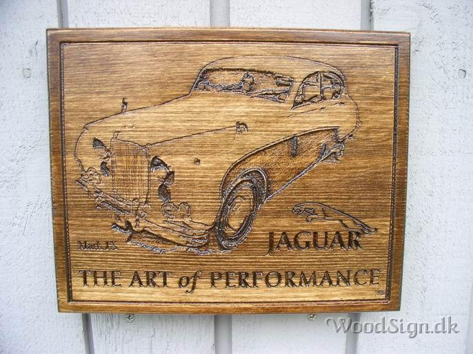 Jaguar 02.JPG